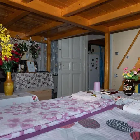 Budapest Central Apartment 부다페스트