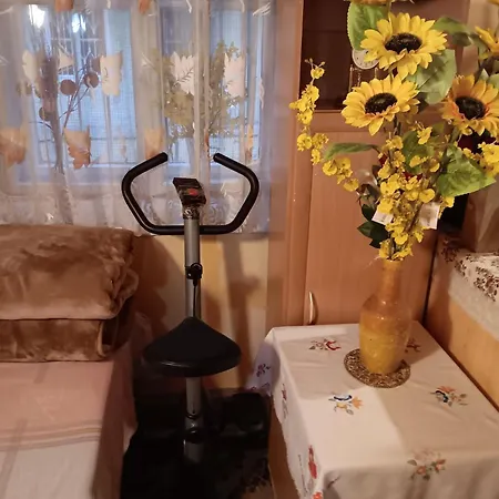 Δωμάτια σε οικογενειακή κατοικία Budapest Central Apartment *