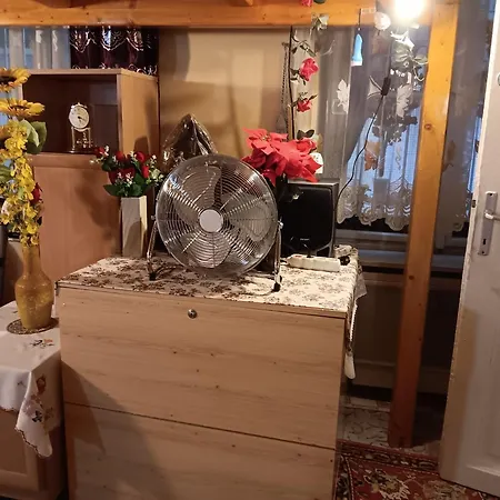 Budapest Central Apartment Δωμάτια σε οικογενειακή κατοικία