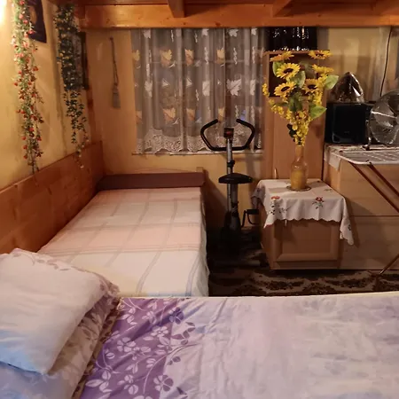 Δωμάτια σε οικογενειακή κατοικία Budapest Central Apartment *