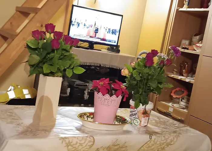 Budapest Central Apartment Rum i privatbostad