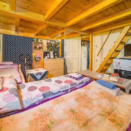 Budapest Central Apartment Homestay szállás